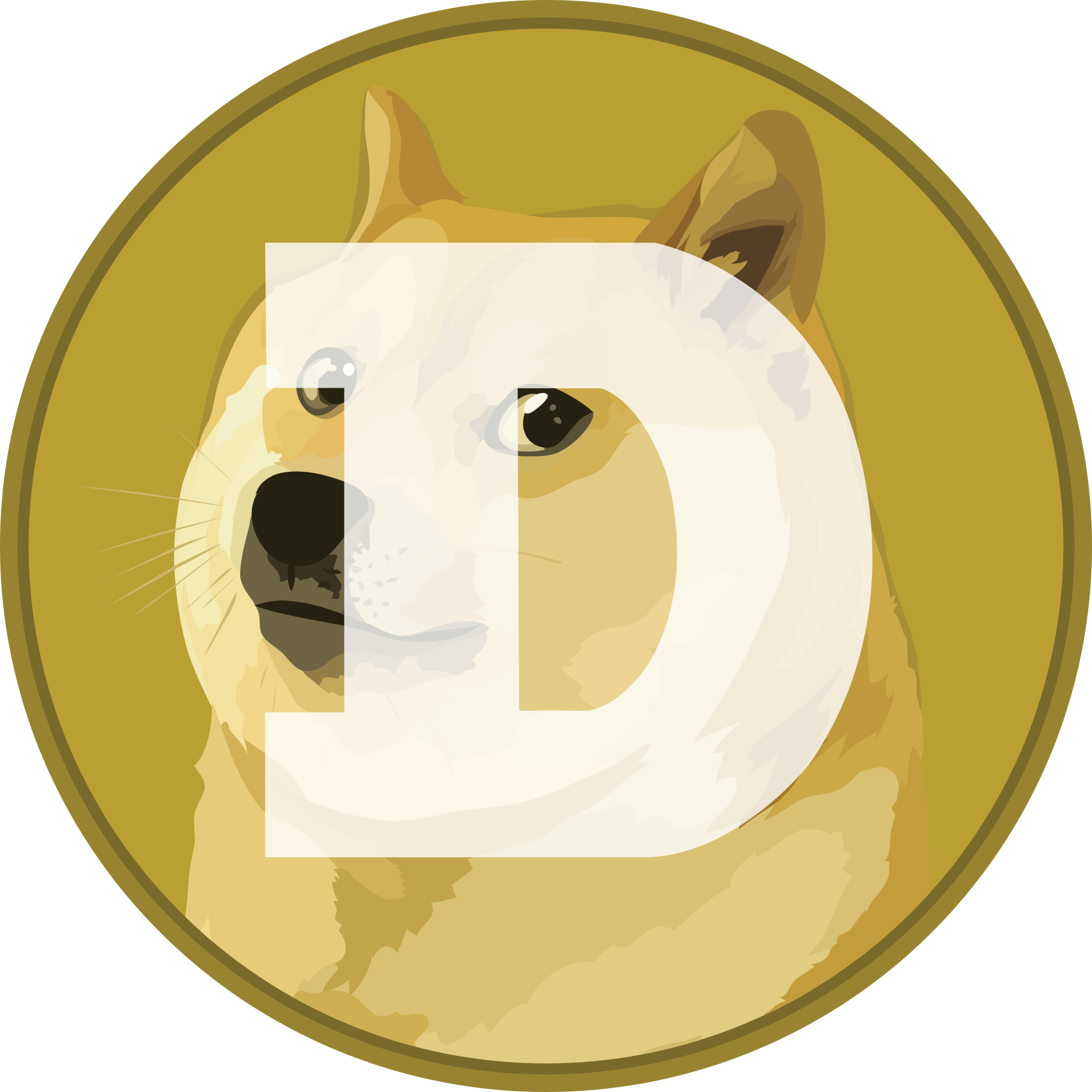 Dogecoin near Roadmap